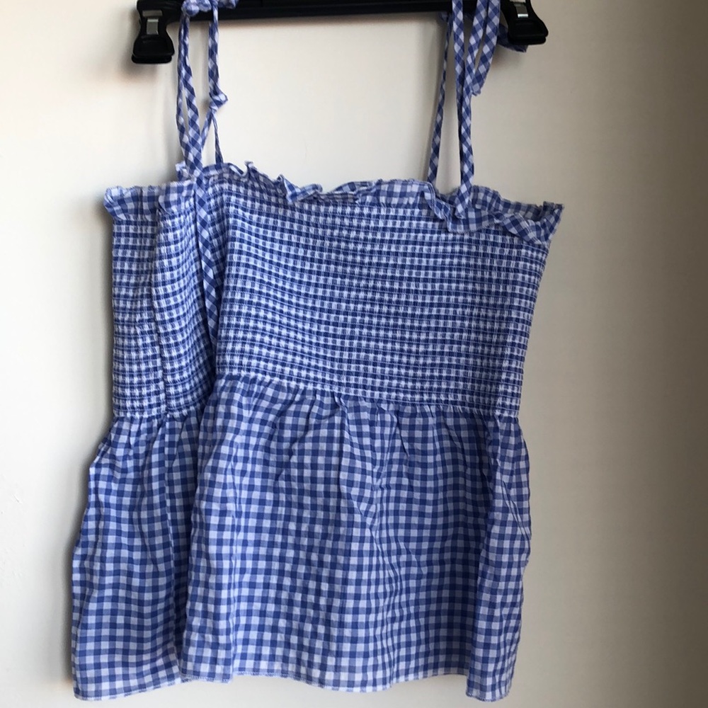 NWOT Blue Picnic Peplum Top